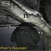 Puruzzam & Bobo T - Silence - Single